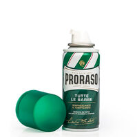 Espuma de Afeitar Eucalipto  100ml-202073 Espuma de Afeitar Eucalipto  100ml-202073 1